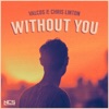 Without You - Single