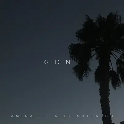 Gone (feat. Alex Mallardo) - Single - Amina
