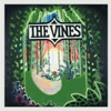 THE VINES