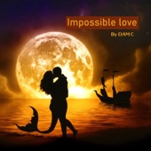 Impossible Love artwork