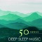 Pebbles (feat. Shakuhachi Sakano) - Deep Sleep & Shakuhachi Sakano lyrics