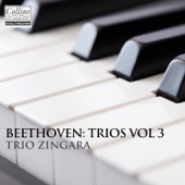 Piano Trio in G Major, Op.1 No.2: I. Adagio - Allegro vivace artwork