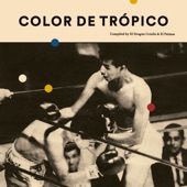 Color de Trópico (Compiled By El Dragón Criollo y El Palmas) artwork