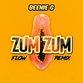 Zum Zum Flow (Remix) artwork