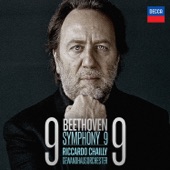 Beethoven: Symphony No. 9 artwork