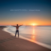 Ara Que Ets Ocell artwork