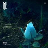 Try (feat. Røry) artwork