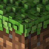 C418 - Cat