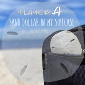 Sand Dollar in My Suitcase artwork