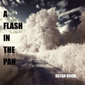 A Flash in the Pan artwork