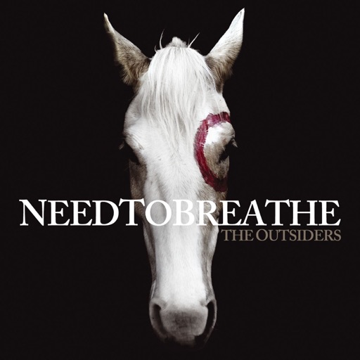 Art for The Outsiders by NEEDTOBREATHE