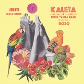Kaleta & Super Yamba Band - Jibiti (Bosq Remix Instrumental)
