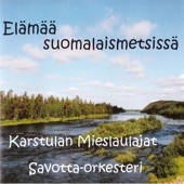 Elämää suomalaismetsissä artwork