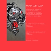 Never Lost Sleep