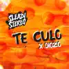 Stream & download Te Culo - Single