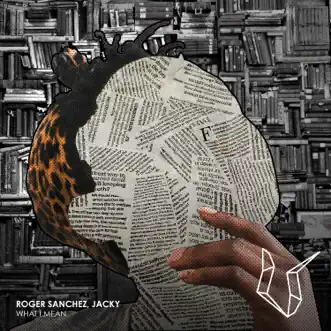 What I Mean - EP by Roger Sanchez & Jacky album reviews, ratings, credits