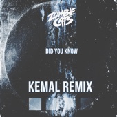 Did You Know (Kemal Remix) artwork