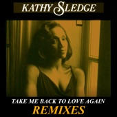 Take Me Back To Love (Remixes) artwork