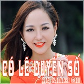 Ho Viet Trung - LK Doi Mat Nguoi Xua - Chim Trang Mo Coi