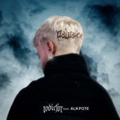 Palpatine (feat. Alkpote) artwork