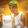 Menino Valioso - Single album lyrics, reviews, download