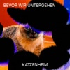 Bevor wir untergehen - Single