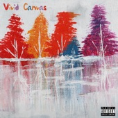 Vivid Canvas artwork