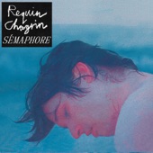 Requin Chagrin - Le grand voyage