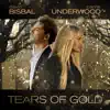 Stream & download Tears Of Gold - Single
