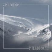 Refreshing Wind Sounds artwork