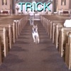 Mary by Alex G iTunes Track 1