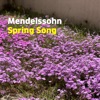 Mendelssohn Spring Song - Single