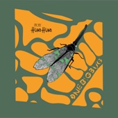Huan Huan - One Big Bug