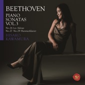 Beethoven Piano Sonatas, Vol. 3: Hammerklavier & Les Adieux artwork