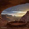 Focus Canyon (Ambient) - EP album lyrics, reviews, download