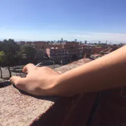 La Mejor Maestra - Single - La Revelación