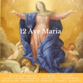 Ave Maria, D. 839 artwork
