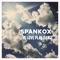 Wrong in the Right Way (feat. Miguel Bosé) - Spankox lyrics