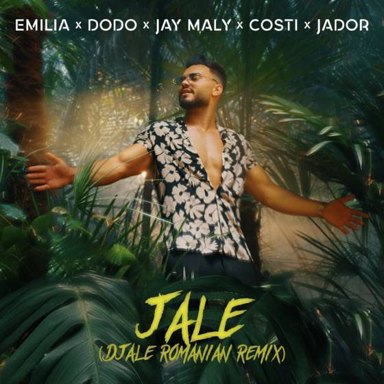 Cover artwork for Jale (Djeale Romanian Remix)