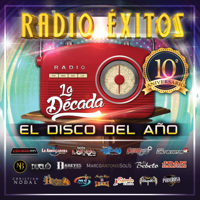 Various Artists - Radio Éxitos. El Disco Del Año. La Década artwork