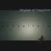 Subculture B/W Windows (feat. Ryu, Leon Rockmore & DJ Cheapshot) - Single album lyrics, reviews, download
