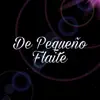 Stream & download de pequeño flaite - Single