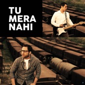 Tu Mera Nahi artwork