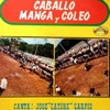 Caballo, Manga Y Coleo