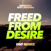 Freed from Desire (feat. Indiiana) [DNF Remix] artwork