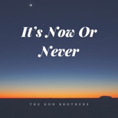 It's Now or Never (Solo Version) artwork