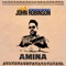 Amina - John Robinson lyrics