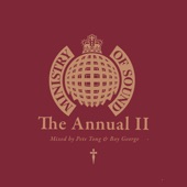 Ministry of Sound: The Annual II - Mixed by Pete Tong & Boy George (DJ Mix) artwork