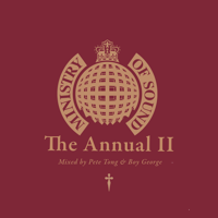 Pete Tong & Boy George - Ministry of Sound: The Annual II - Mixed by Pete Tong & Boy George (DJ Mix) artwork