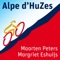 Alpe D'HuZes artwork